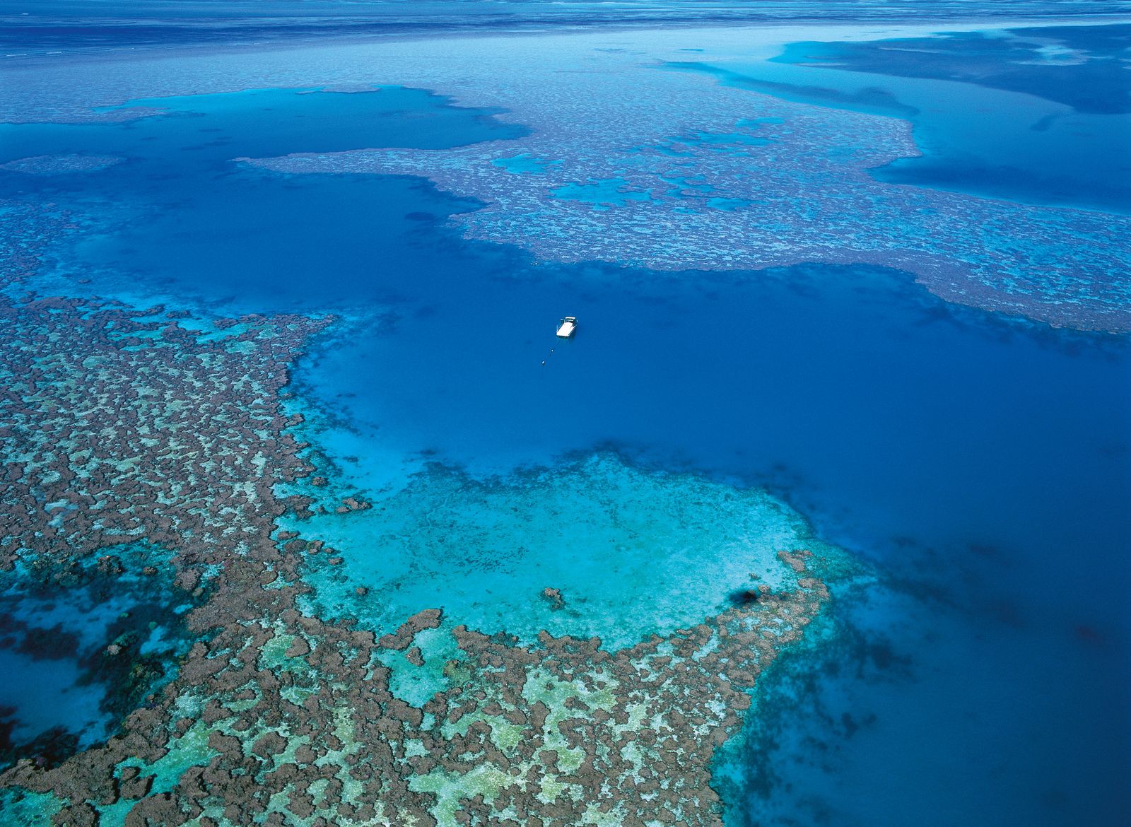 Aerial view of the Whitsunday Islands and reef, Queensland