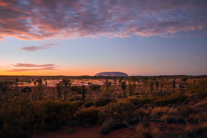 Field of Light at Uluru, Northern Territory, Australia