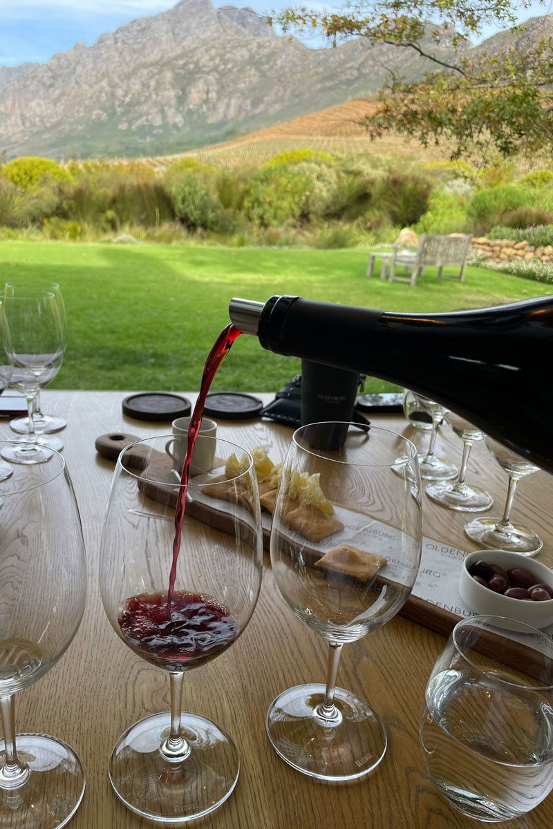 South Africa wine tasting for A Foodie & Wine Lover's Dream in South Africa