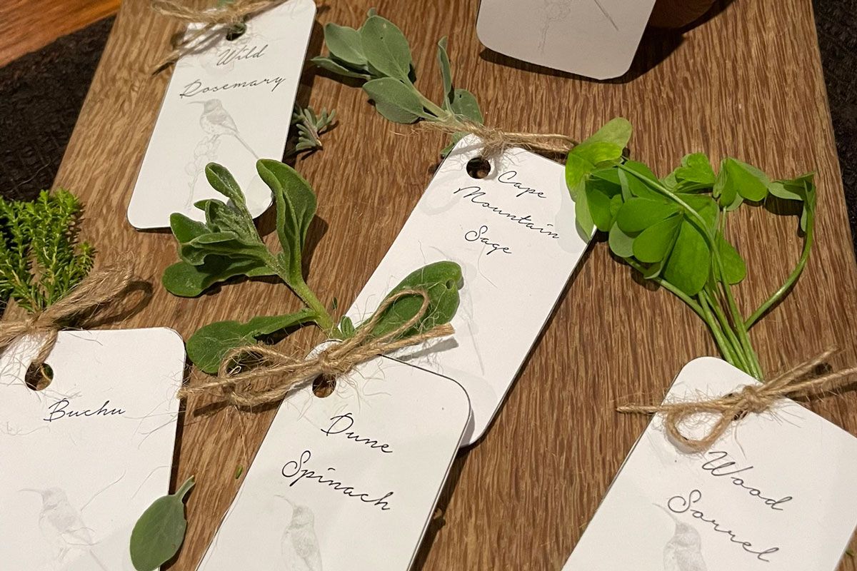herbs used to prepare the meal