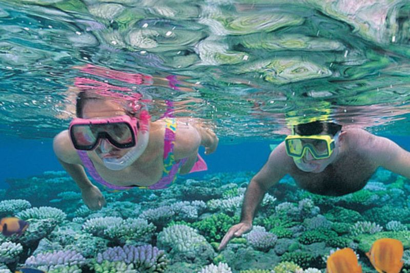 Snorkel the Great Barrier Reef in Queensland