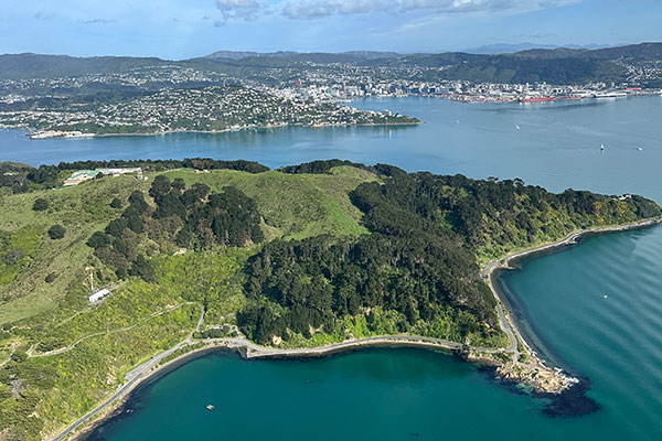 View from the helicopter