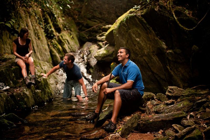 Daintree Rainforest with an Aboriginal guide