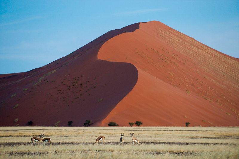 The Formidable "Big Daddy" Dune in Sossusvlei | Photo Credit: Wilderness Safaris