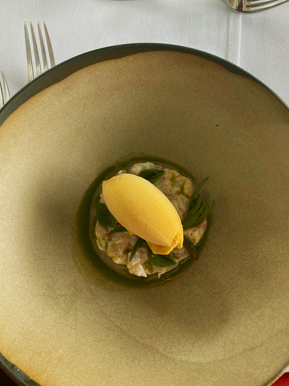 Local reef fish Namas with curry myrtle sorbet. An absolutely delicious culinary experience.
