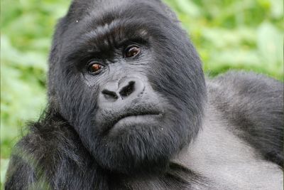 Kamageo Tourism Rwanda