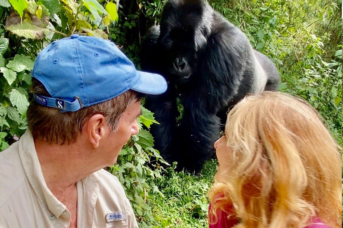 swaindestinations rwanda gorillatrekking 7 for Everything to Know about Gorilla Trekking