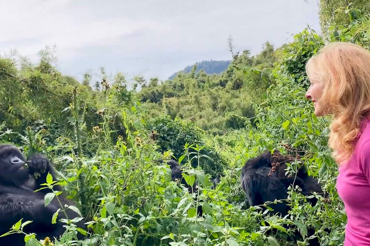 swaindestinations rwanda gorillatrekking 8 for Everything to Know about Gorilla Trekking