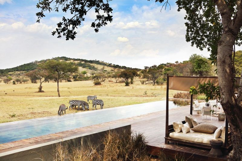 Singita Serengeti House swimming pool and zebras