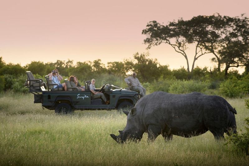 Singita Castleton game drive with a rhino