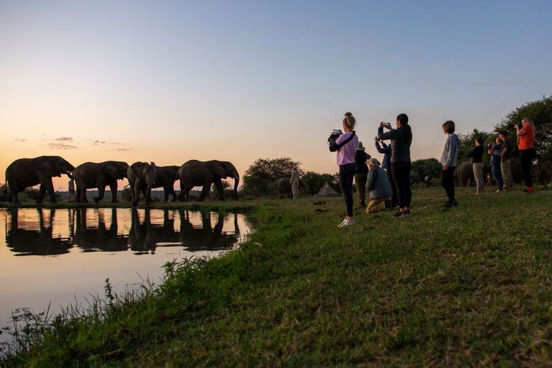 Jabulani sunset elephant walk