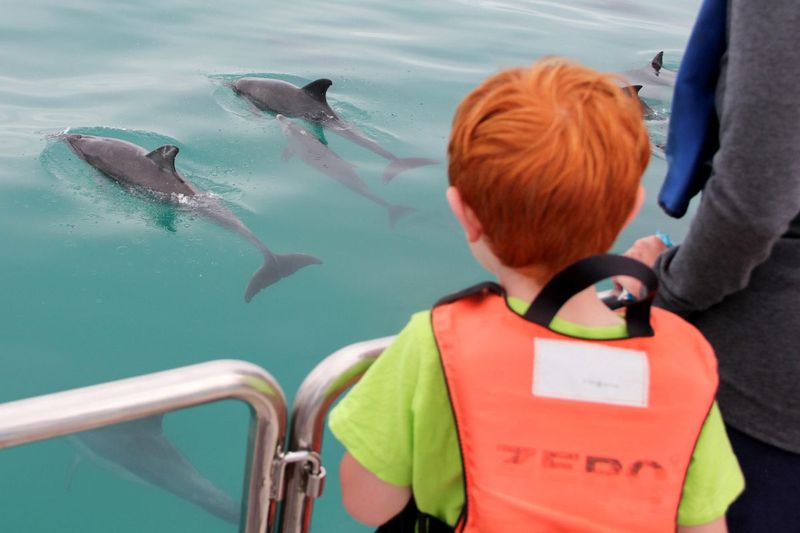 child watching dolphins on a marine safari in South Africa