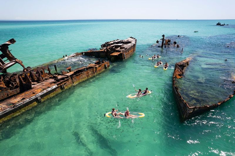 exploring the Tangalooma Wrecks by see-through kayak