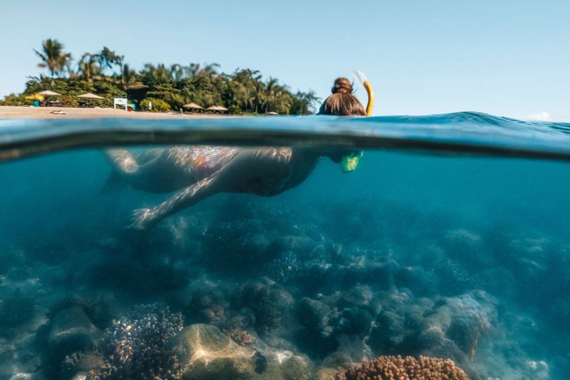 snorkeling the Great Barrier Reef