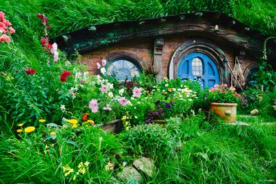 At Home in Middle Earth Photo Credit: Hobbiton Movie Set