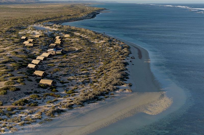Sal Salis Western Australia