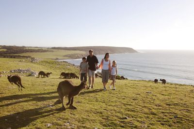Kangaroo Island Photo Credit: South Australian Tourism Commission