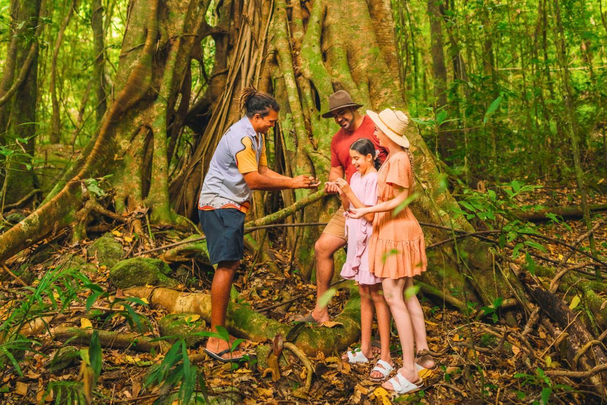 Daintree Rainforest cultural tour