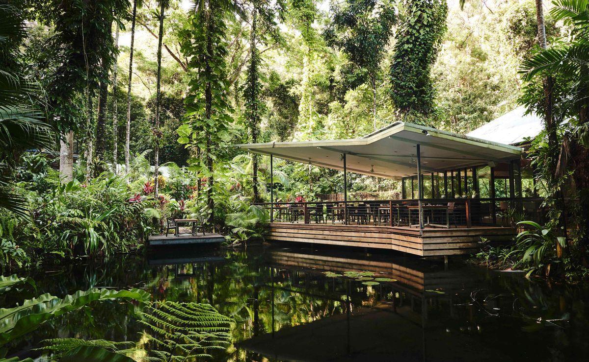 Daintree Ecolodge
