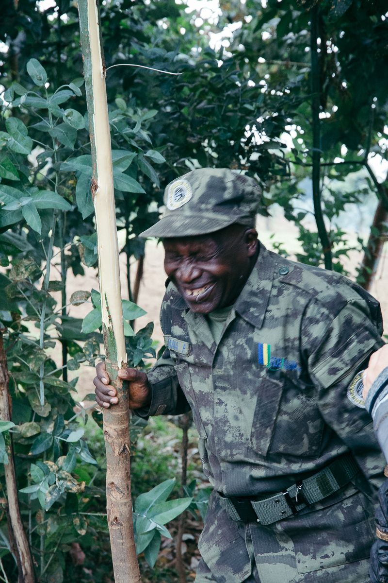 A smiling Rwanda ranger holding a bamboo stalk in the forest