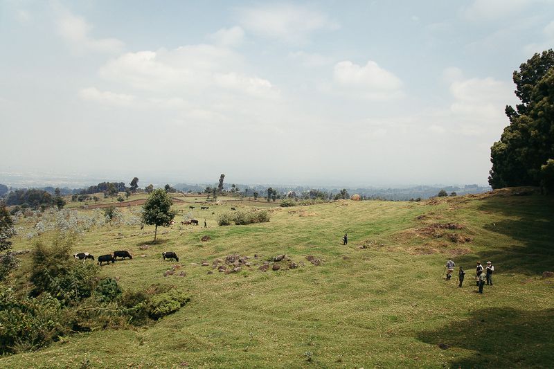 Rwanda farmland and hills under a pale sky