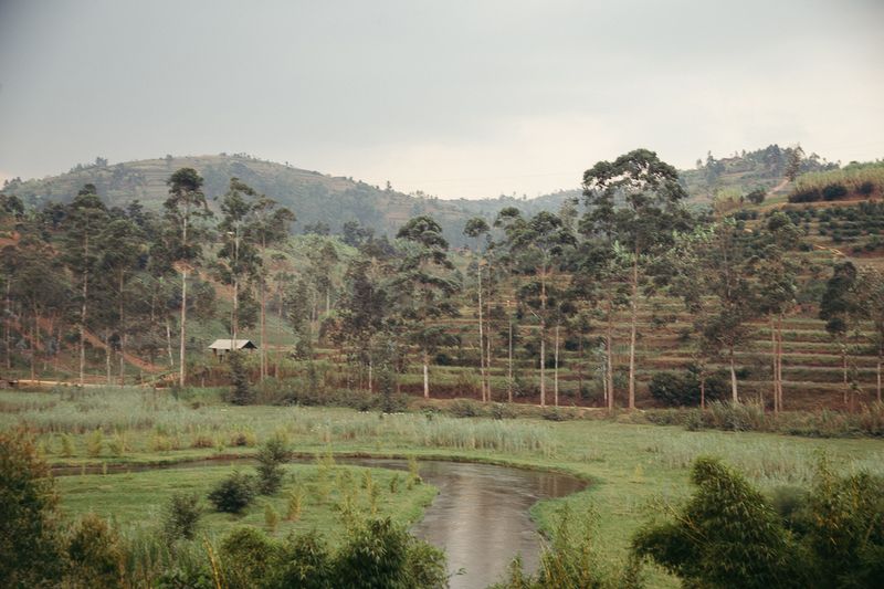 An open hillside near Volcanoes National Park
