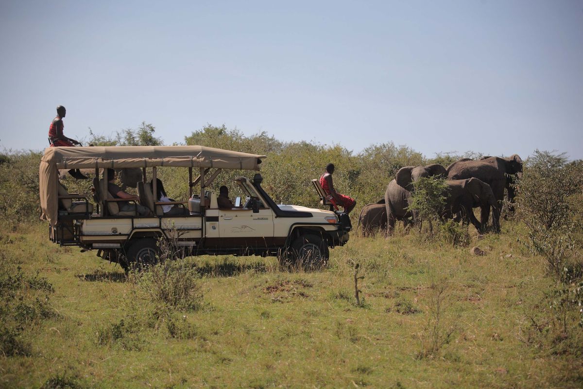 Photo Credit: The Mara Bushtops