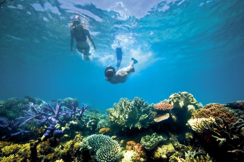Diving off of Lizard Island | Photo Credit: Lizard Island