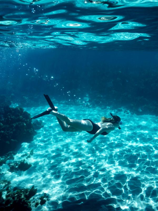 Snorkeling from Lord Howe Island