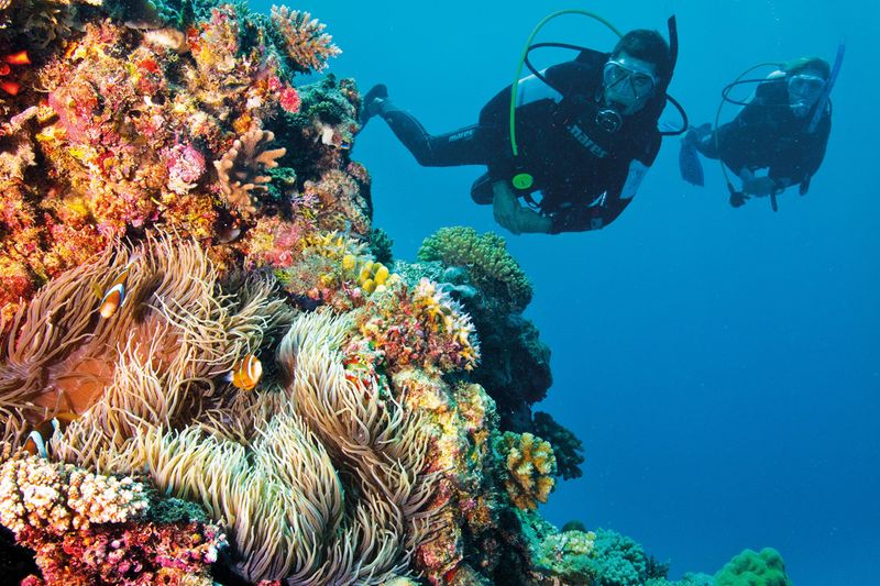 Great Barrier Reef | Photo Credit: Tourism and Events Queensland