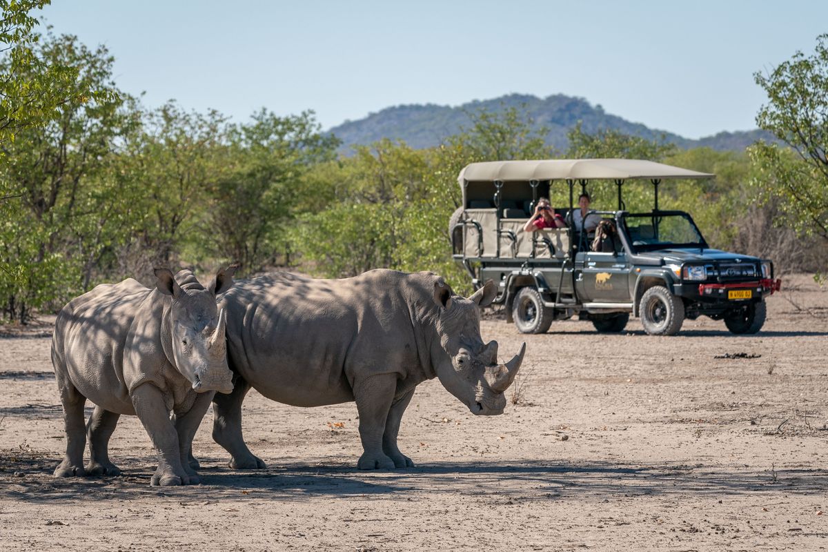 Rhinos at Ongava Private Game Reserve