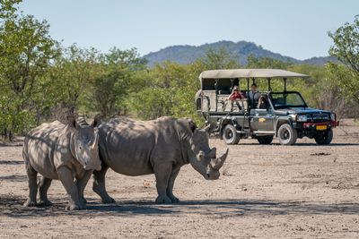 Rhinos at Ongava Private Game Reserve