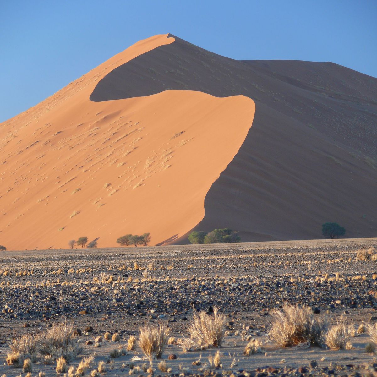 Sossusvlei