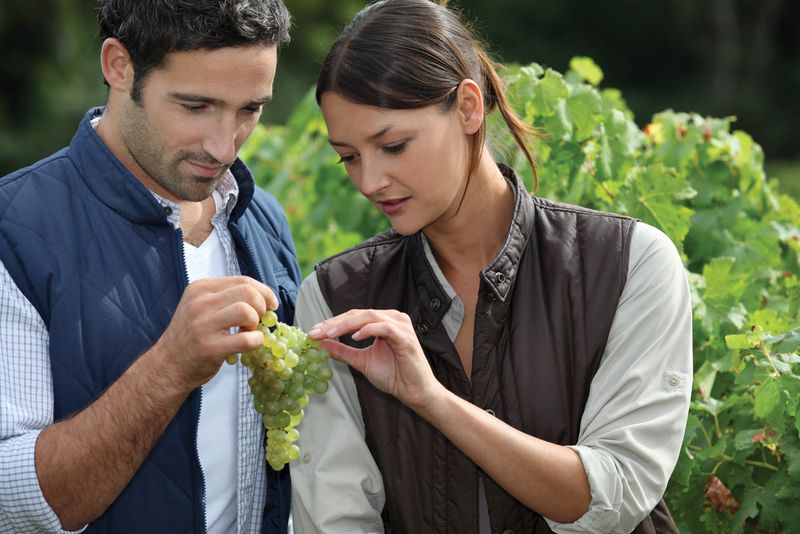Wine Tasting | Photo Credit: South African Tourism