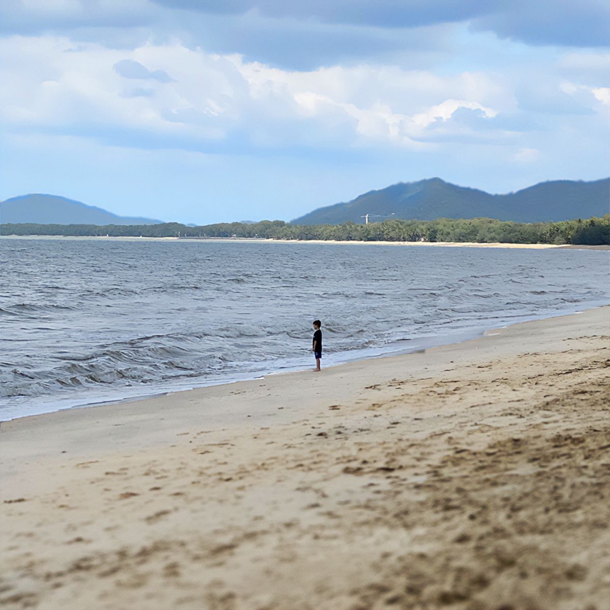 Beach at Palm Cove