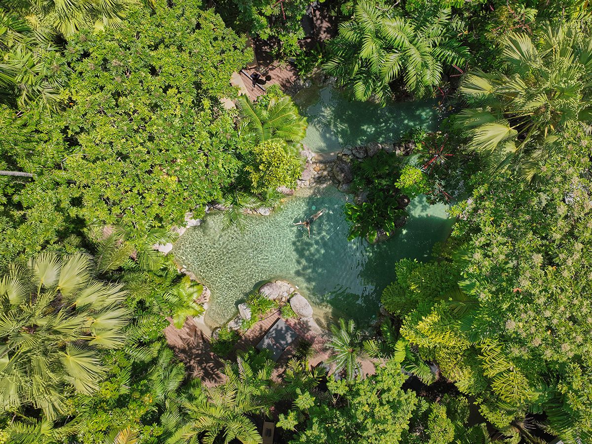 Silky Oaks Pool - Photo Courtesy of Silky Oaks Lodge