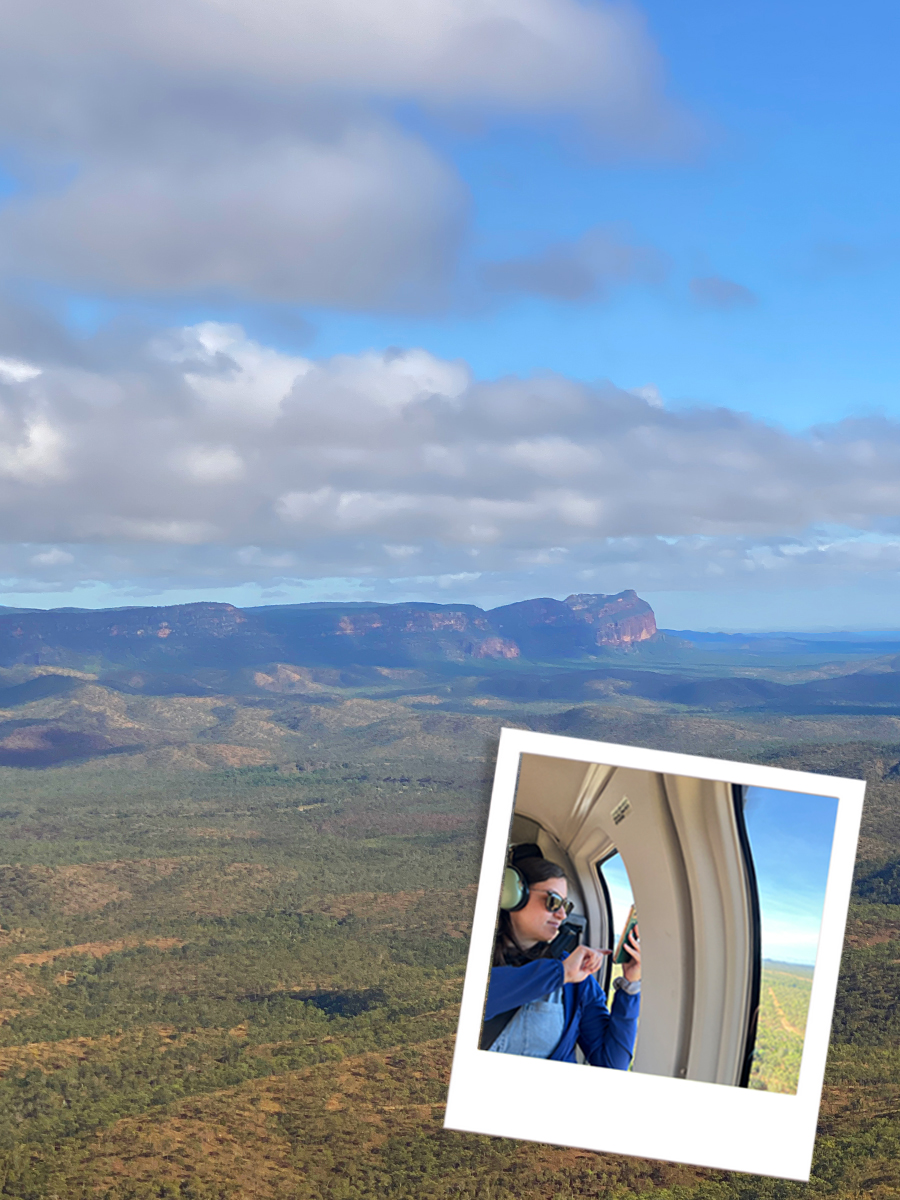 Mount Mulligan rockface - View from the Helicopter