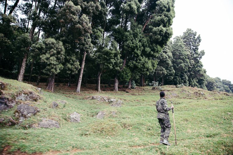 A Rwanda ranger walking at the forest edge of Volcanoes National Park