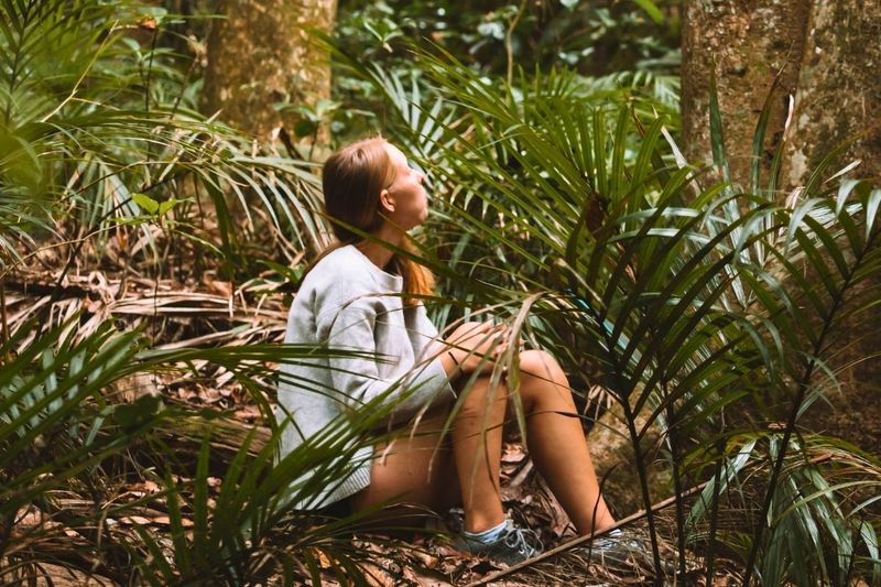 Waiheke Island Forest Bathing