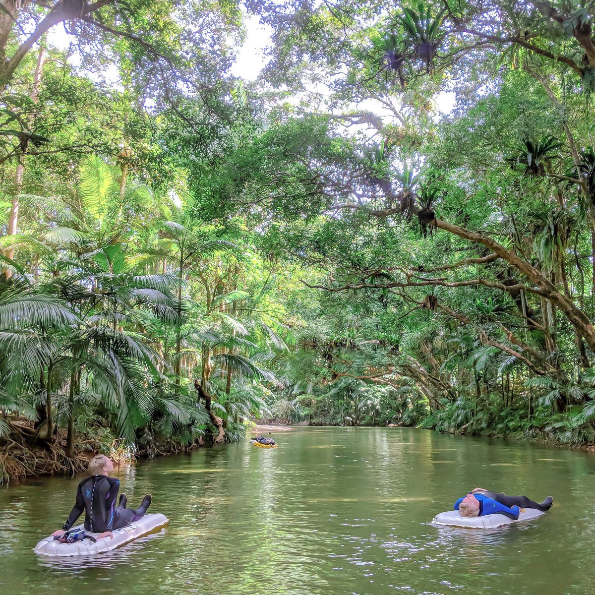 Drifting down the Daintree River