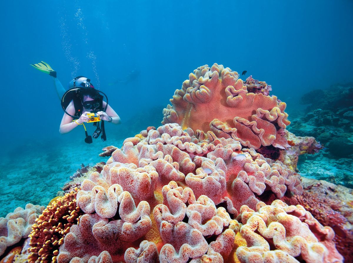 blog ready GBR 641063 56 for Where To Go: The Land Down Under