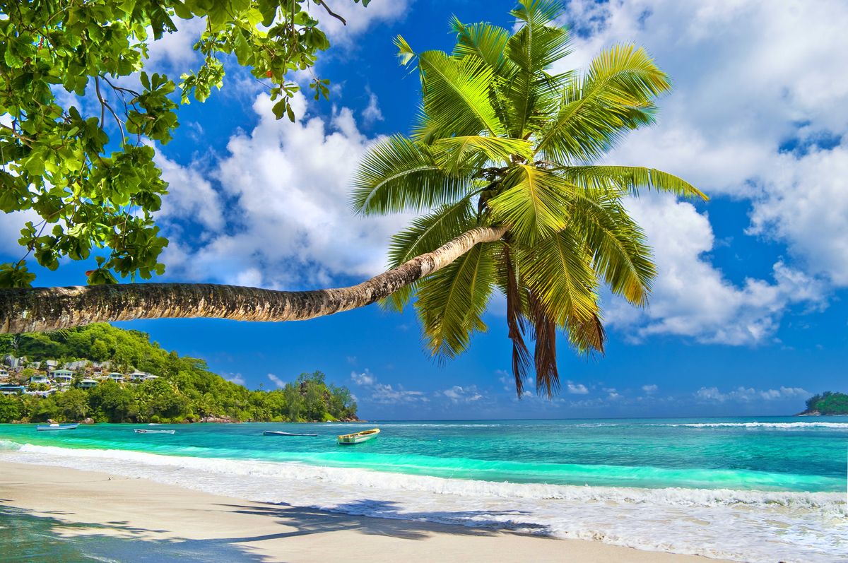 blog ready ss seychelles beach for Winter Sun