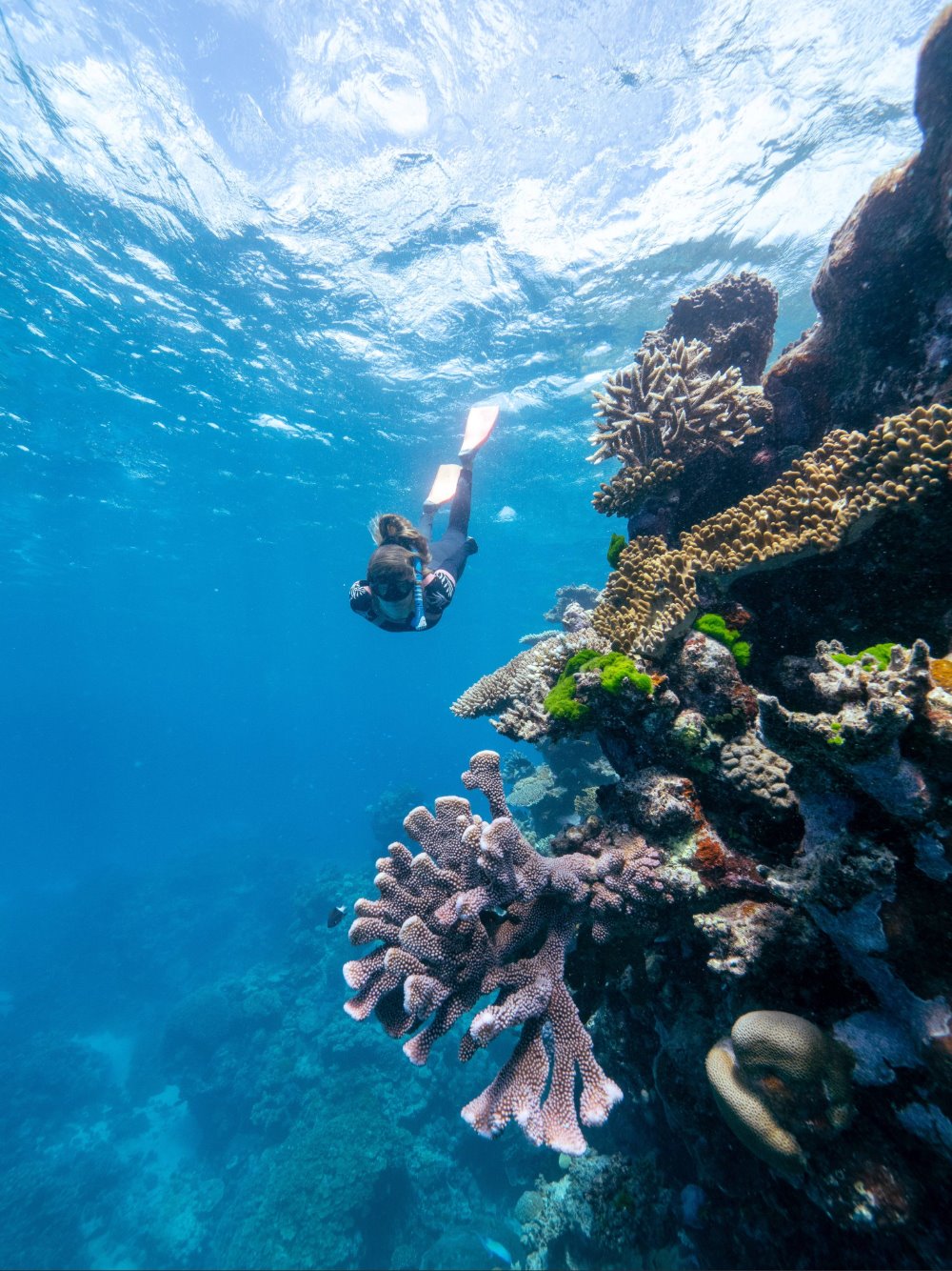 Days on the Great Barrier Reef in Australia