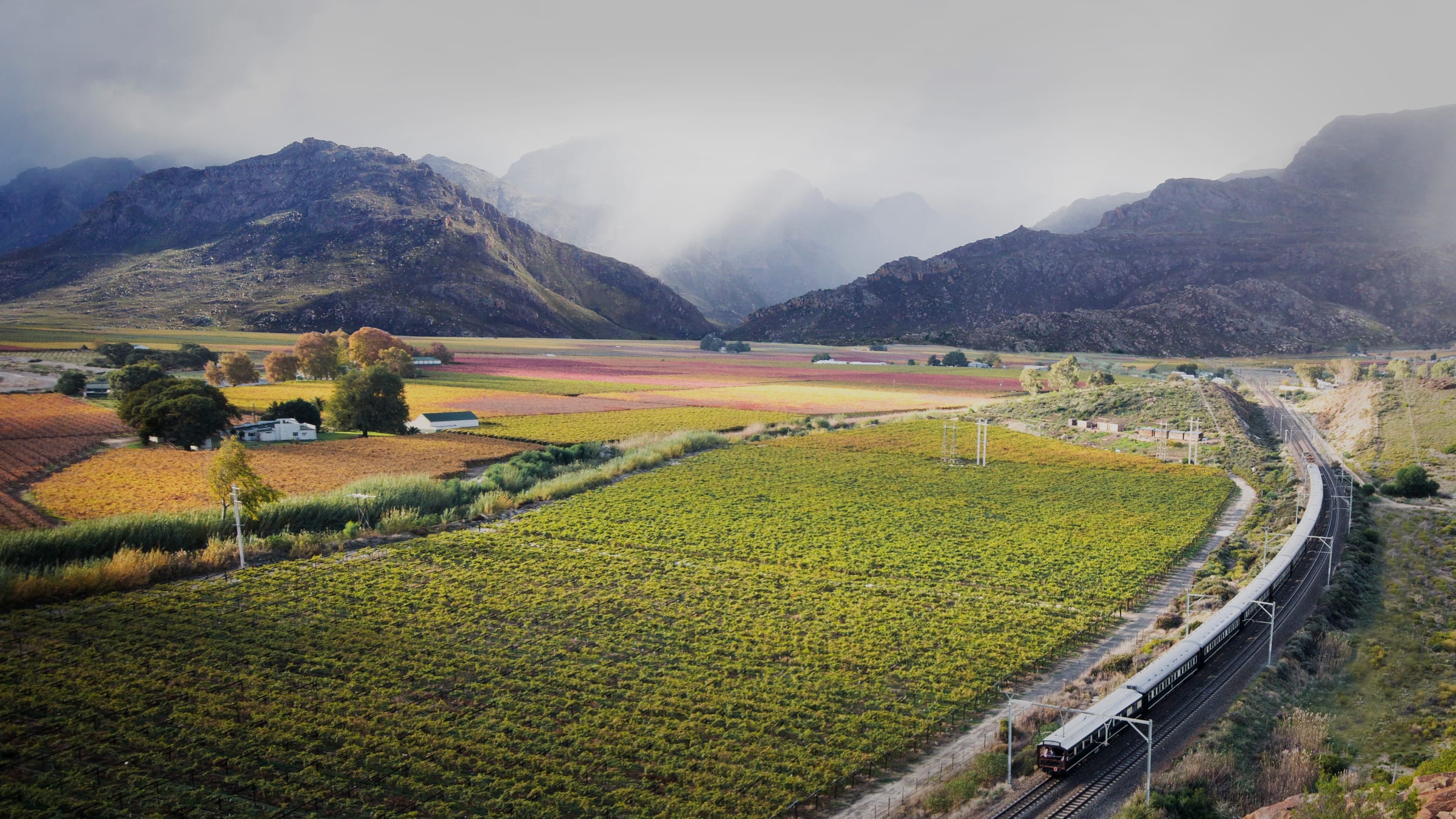 Rovos Rail train traveling through vineyards in the Hex River Valley