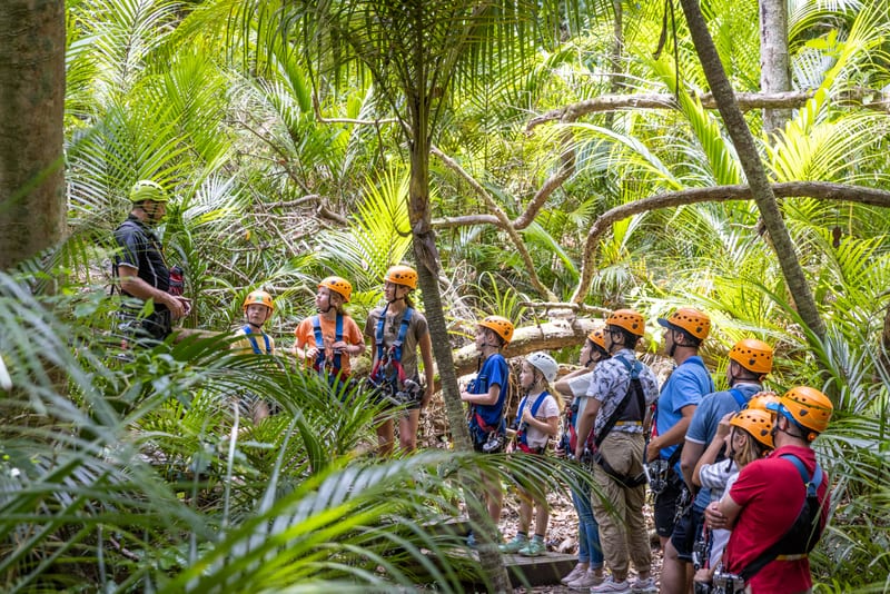 Zipline above native forest on Waiheke Island near Auckland