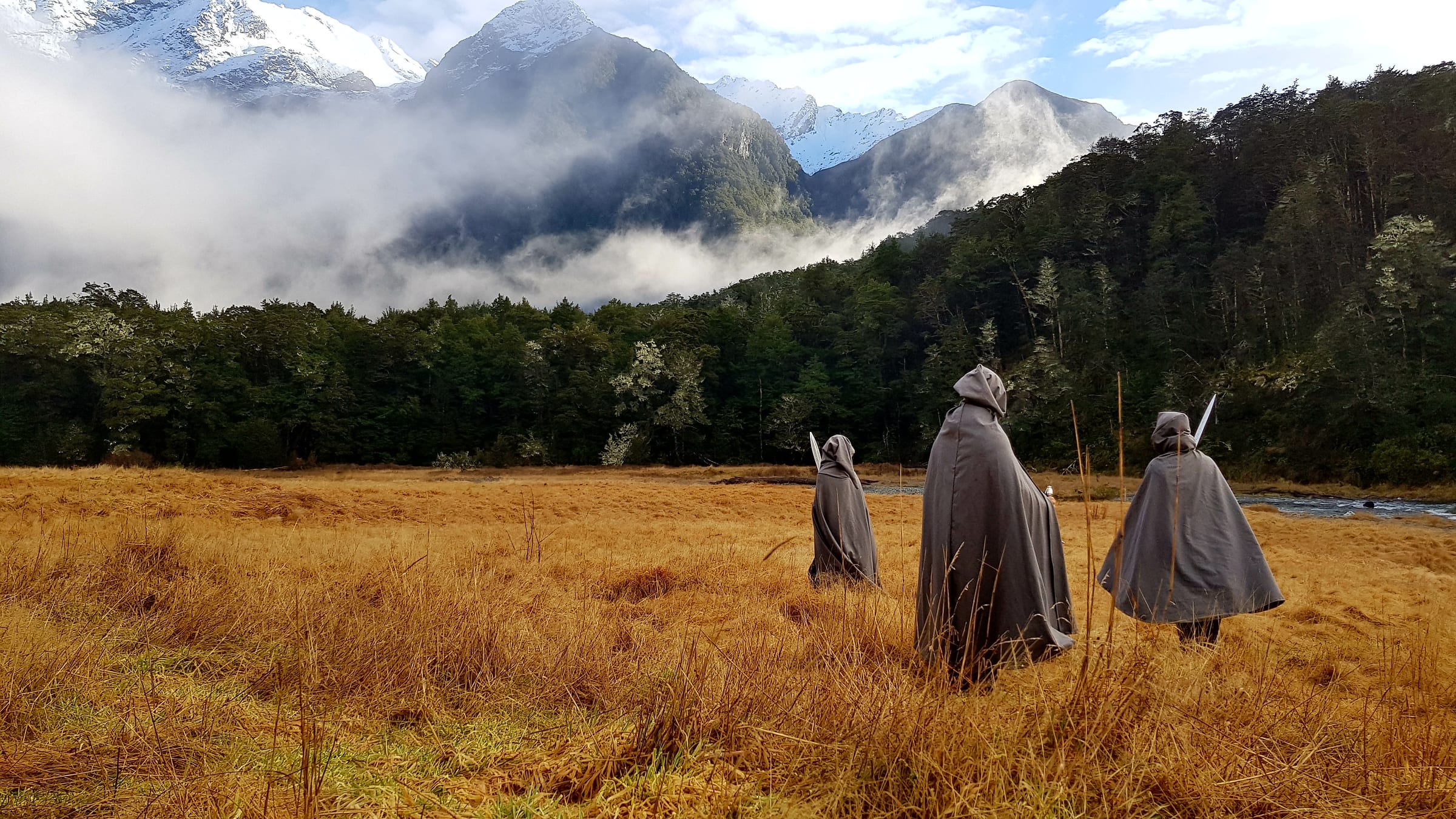 Beech forest near Glenorchy used as a Lord of the Rings filming location